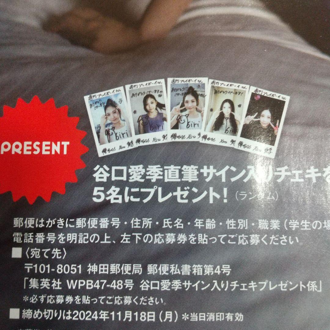 櫻坂46 谷口愛李 サイン入りチェキ 応募券 週刊プレイボーイ