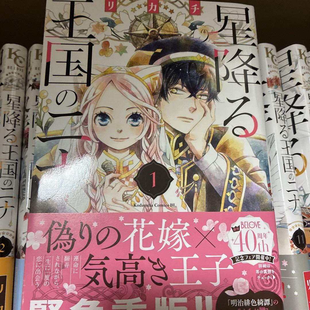 星降る王国のニナ 全16巻セット　美品　帯付き