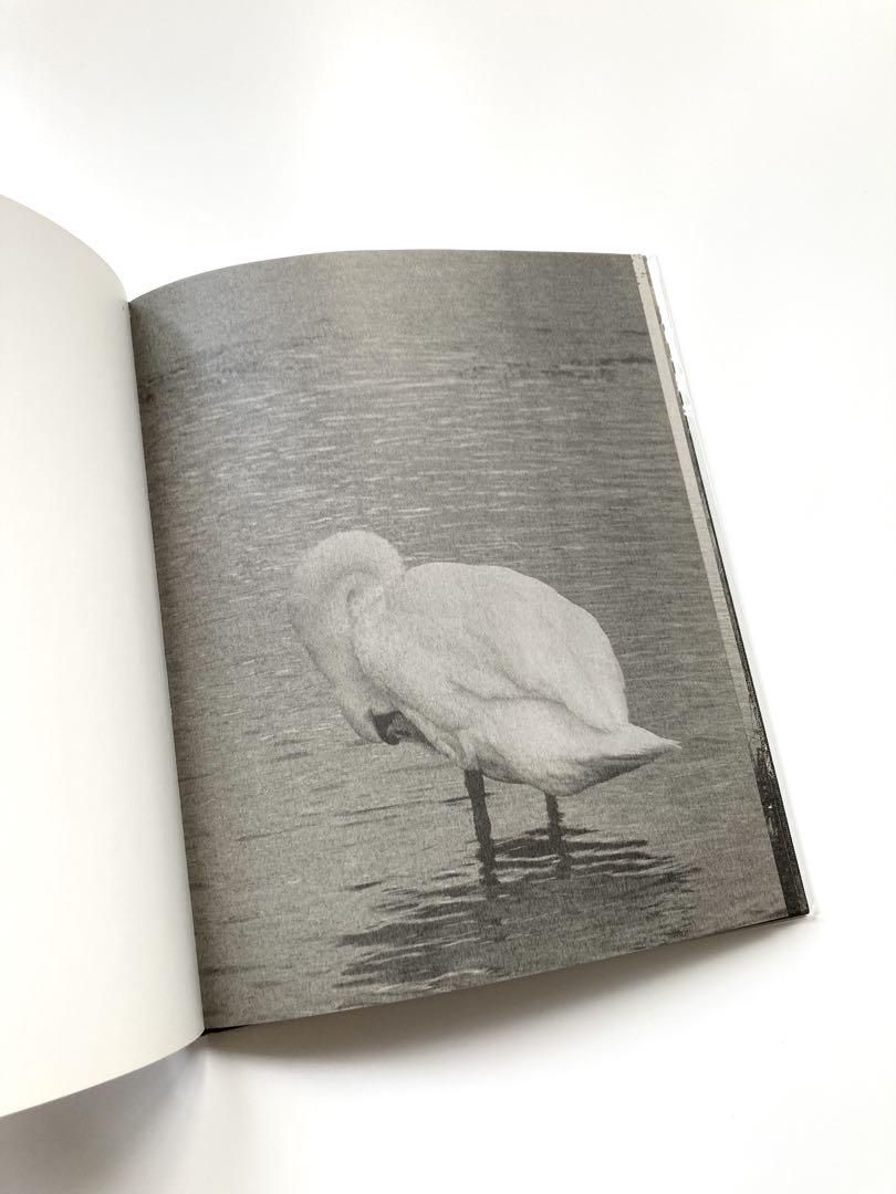 Byung-Hun Min 「 Des Oiseaux 」鳥の写真集　風景　自然