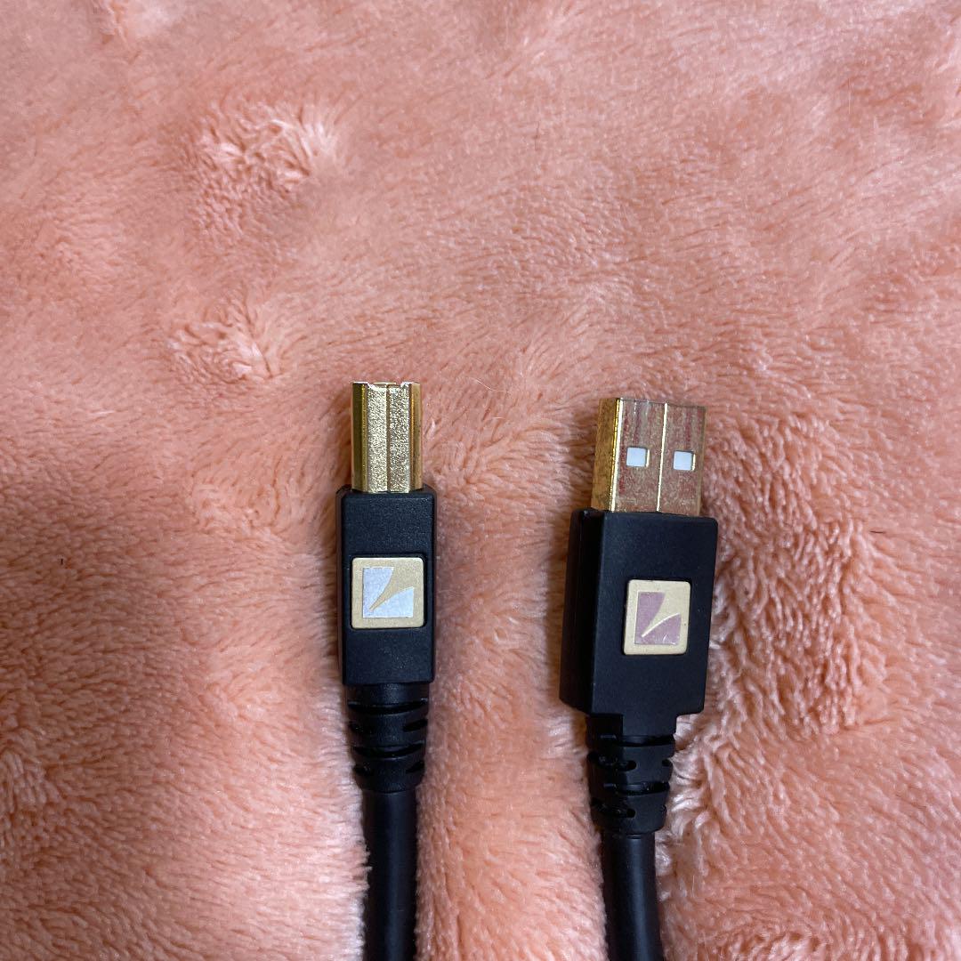 高品質2022 JPU-150 LUXMANオーディオUSBケーブル Q4L9k-m87091976383 低価新品