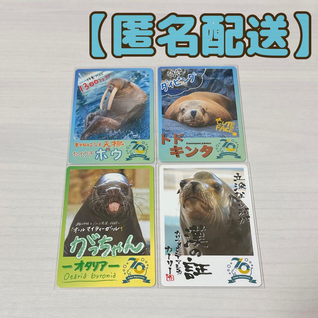 鳥羽水族館 コレクションカード セイウチ ツララ ポウ レア キラ