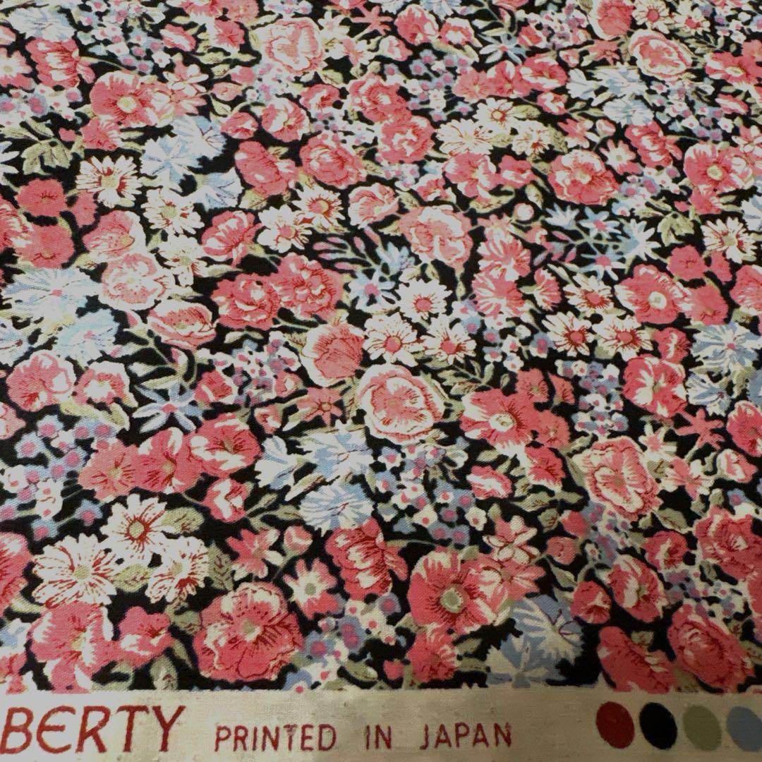 リバティタナローン　チャイブ4.5m