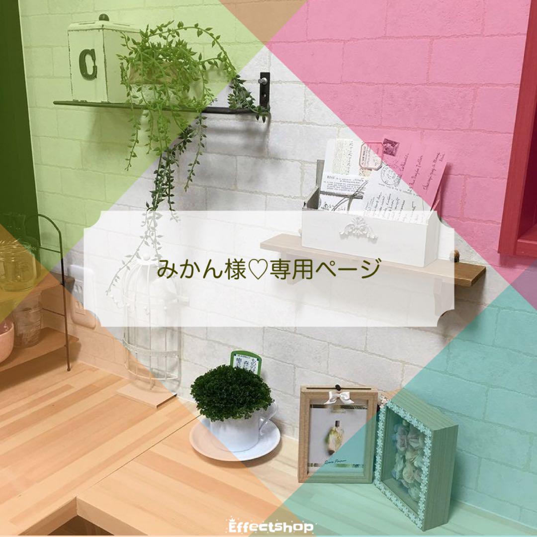 みかん様 専用ページ - メルカリ