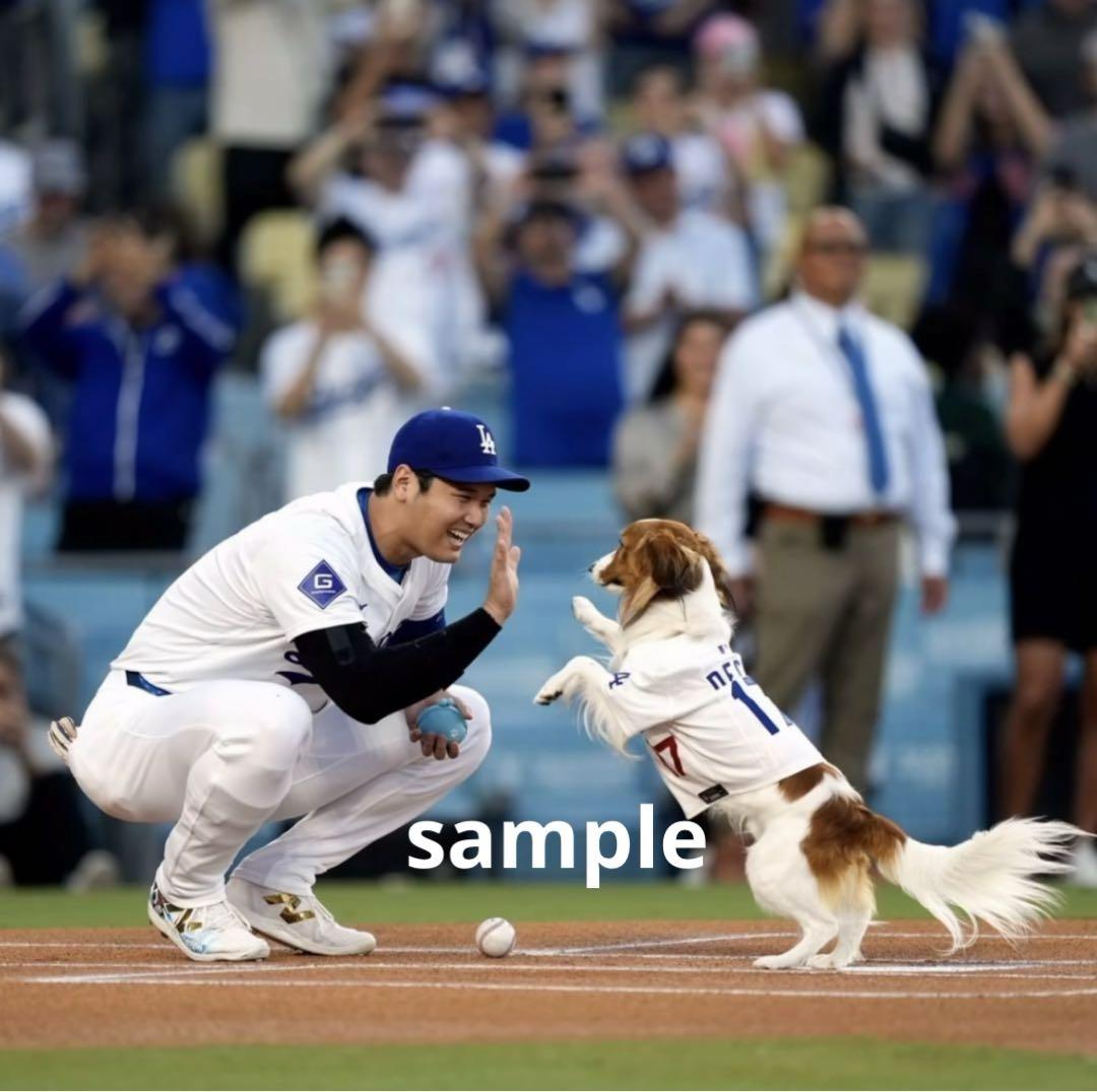ドジャース 大谷翔平 デコピン 始球式 大画面 2L、A4様向 縁あり