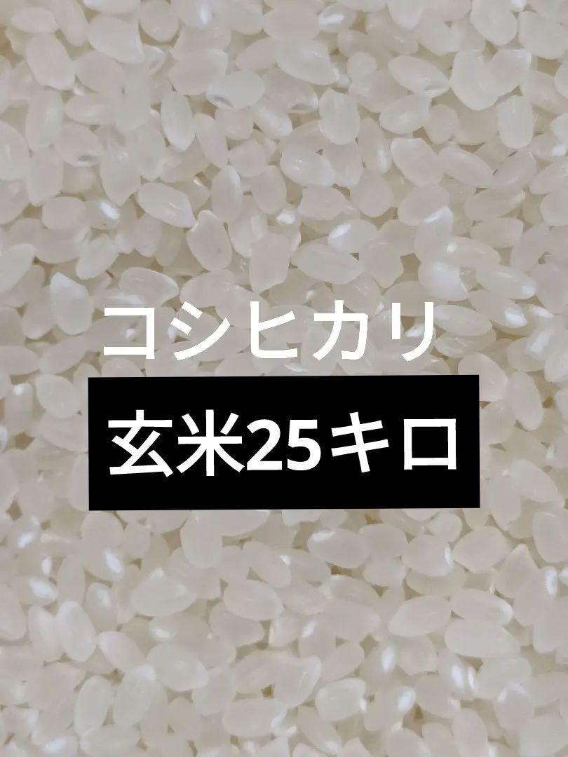 〈専用〉令和5年　広島県産　コシヒカリ　25キロ　玄米