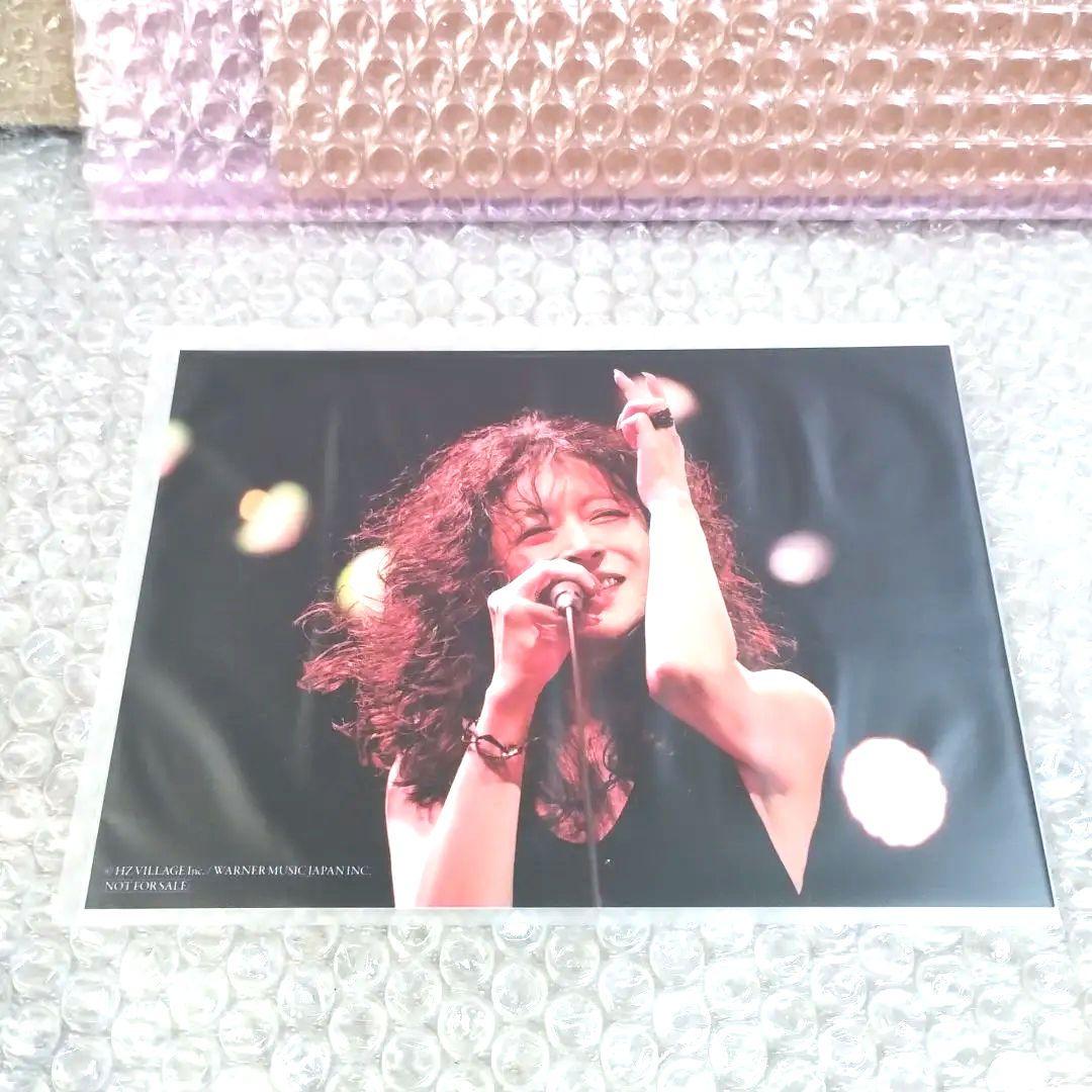 中森明菜『FANCLUB LIVE「ALDEA Bar at Tokyo』生写真