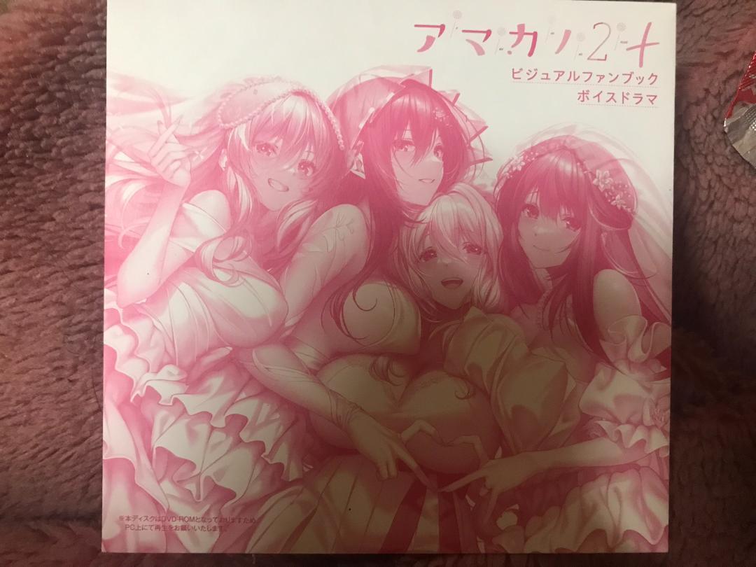 明羽杏子他アマカノ2+ ビジュアルファンブック ドラマDVD付限定版