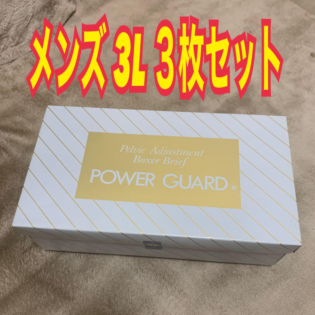 パワーガード　ボクサータイプ　メンズ　グレー　サイズ3L 3枚セット