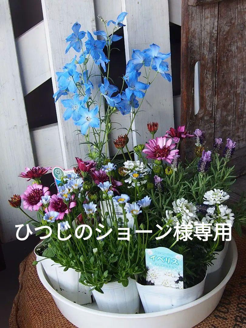 ひつじのショーン様 リクエスト 3点 まとめ商品