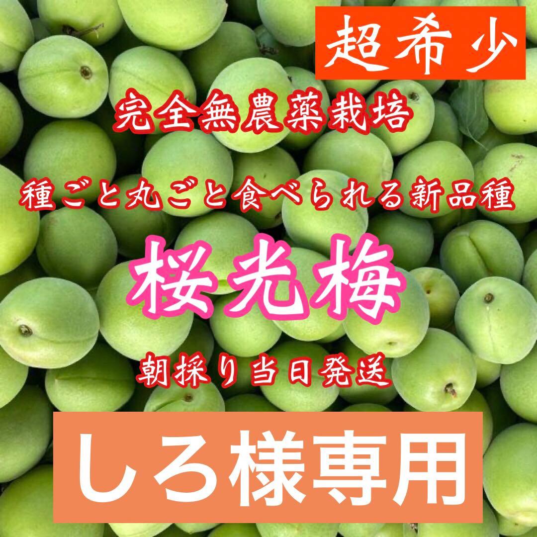 しろ様専用 3キロ 【中古】 1440円引き moto8282.com