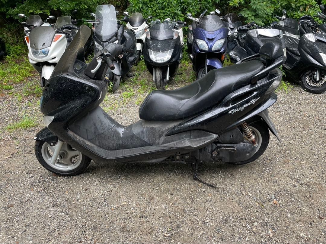 コマジェ コマジェ