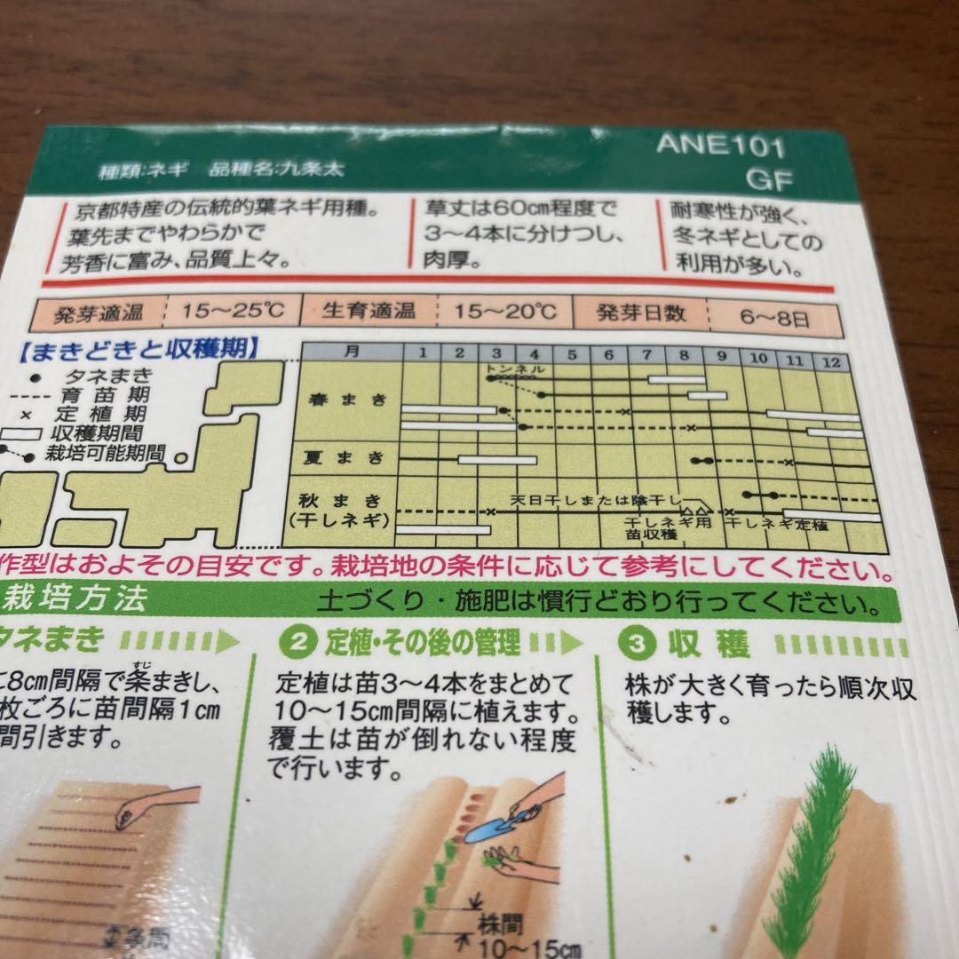 3020 小野雲峰 「彩雲舞丹霄」 共箱 肉筆 紙本 掛軸 臨済宗 大徳寺 禅語 3020 小野雲峰 「彩雲舞丹霄」 共箱 肉筆 紙本 掛軸 臨済宗 大徳