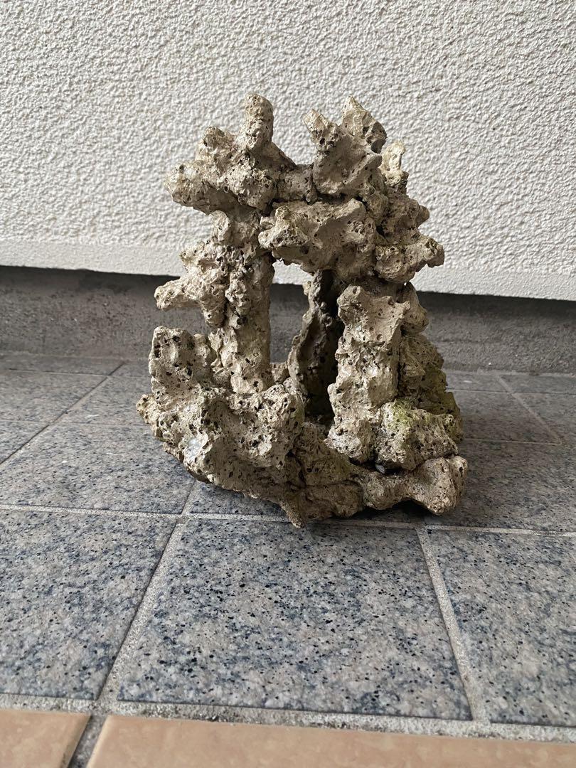 珊瑚　珊瑚礁　デスロック　ライブロック　アクアリウム　海水魚　淡水魚