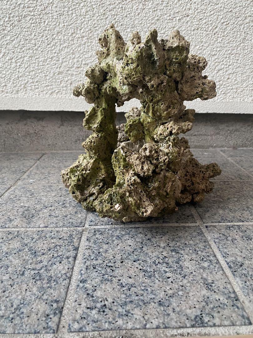 珊瑚　珊瑚礁　デスロック　ライブロック　アクアリウム　海水魚　淡水魚