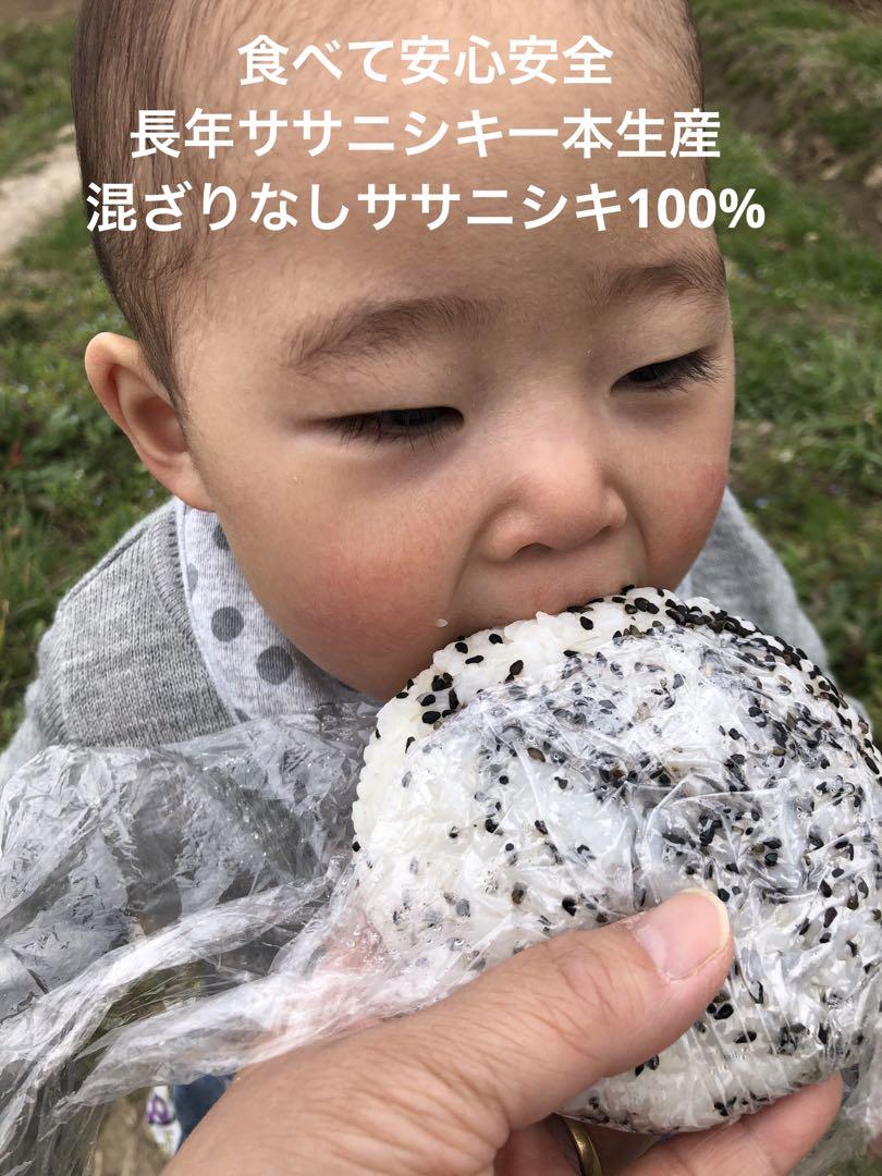 宮城県石巻産ササニシキ令和６年9月26日収穫
玄米30キロ送料無料