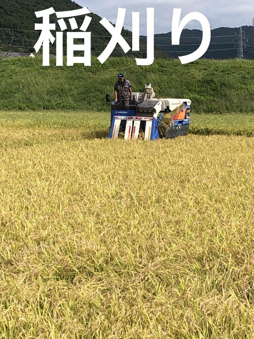 宮城県石巻産ササニシキ令和６年9月26日収穫
玄米30キロ送料無料