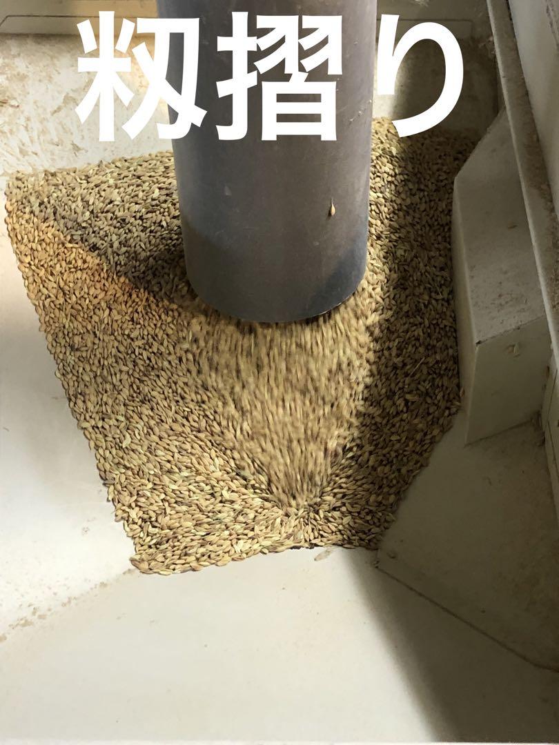 宮城県石巻産ササニシキ令和６年9月26日収穫
玄米30キロ送料無料