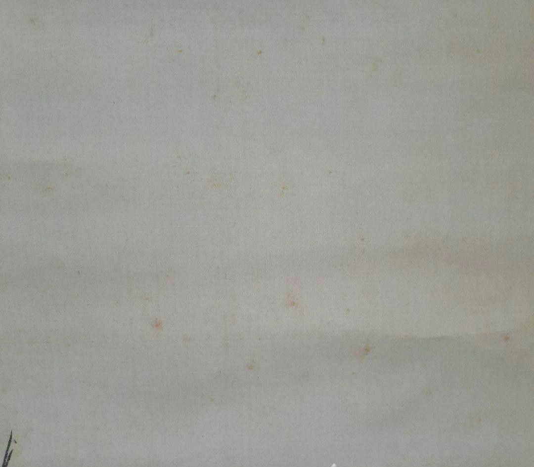 掛け軸/吹雪双鴨？