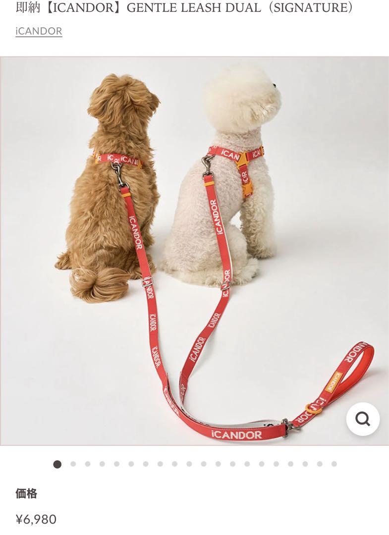 韓国ブランド icandor 犬用リード多頭リード