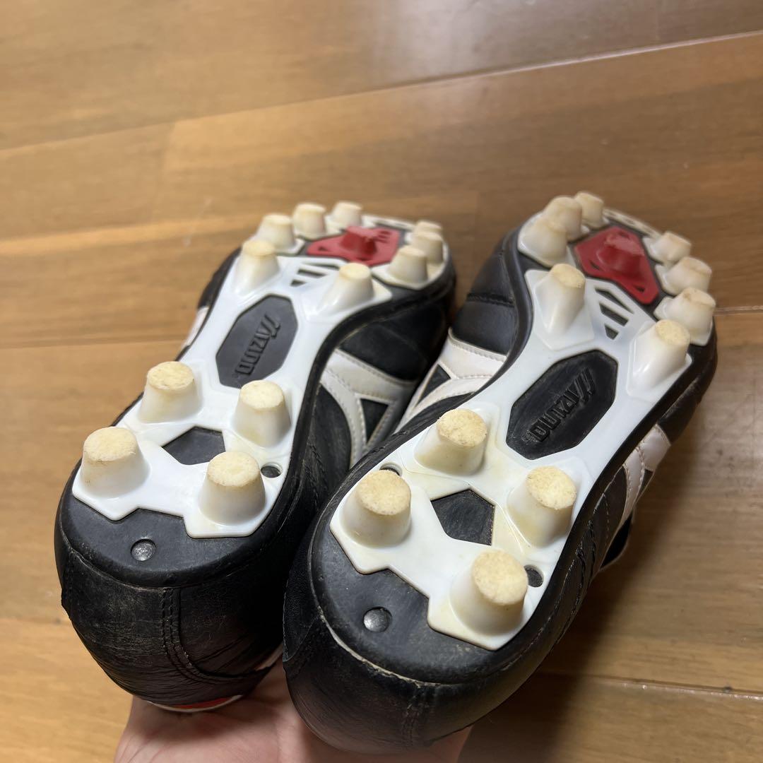 モレリア2 25㎝