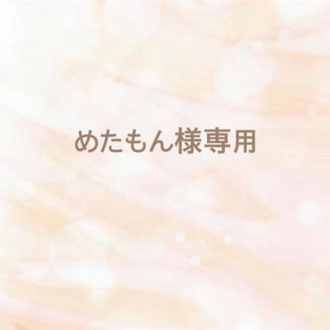 めたもん様専用ページ