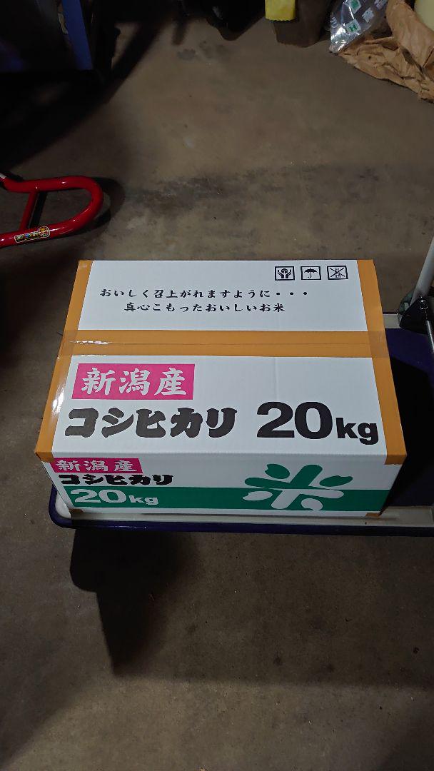 ガルシア0330様専用　新潟コシヒカリ玄米20kg