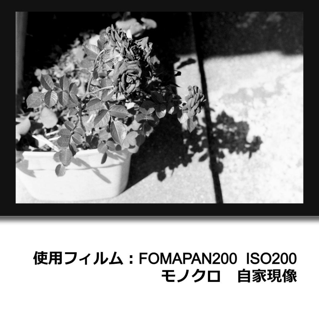 試写画像あり! PENTAX S2 + Super-Takumar 初期動作保証 | edumanbd.com