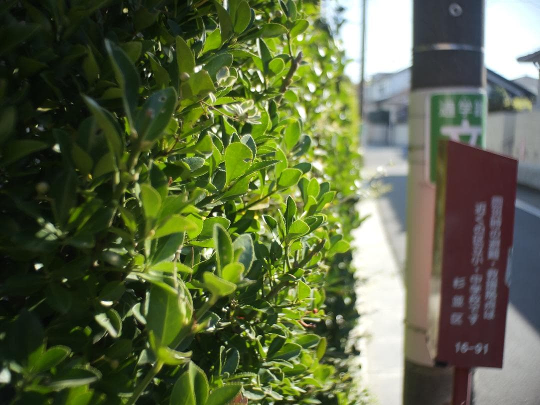 Cマウントシネレンズ Cine-NIKKOR 単焦点レンズ 1:1.8/13mm Cマウントシネレンズ Cine-NIKKOR 単焦点レンズ 1:1.8/13mm