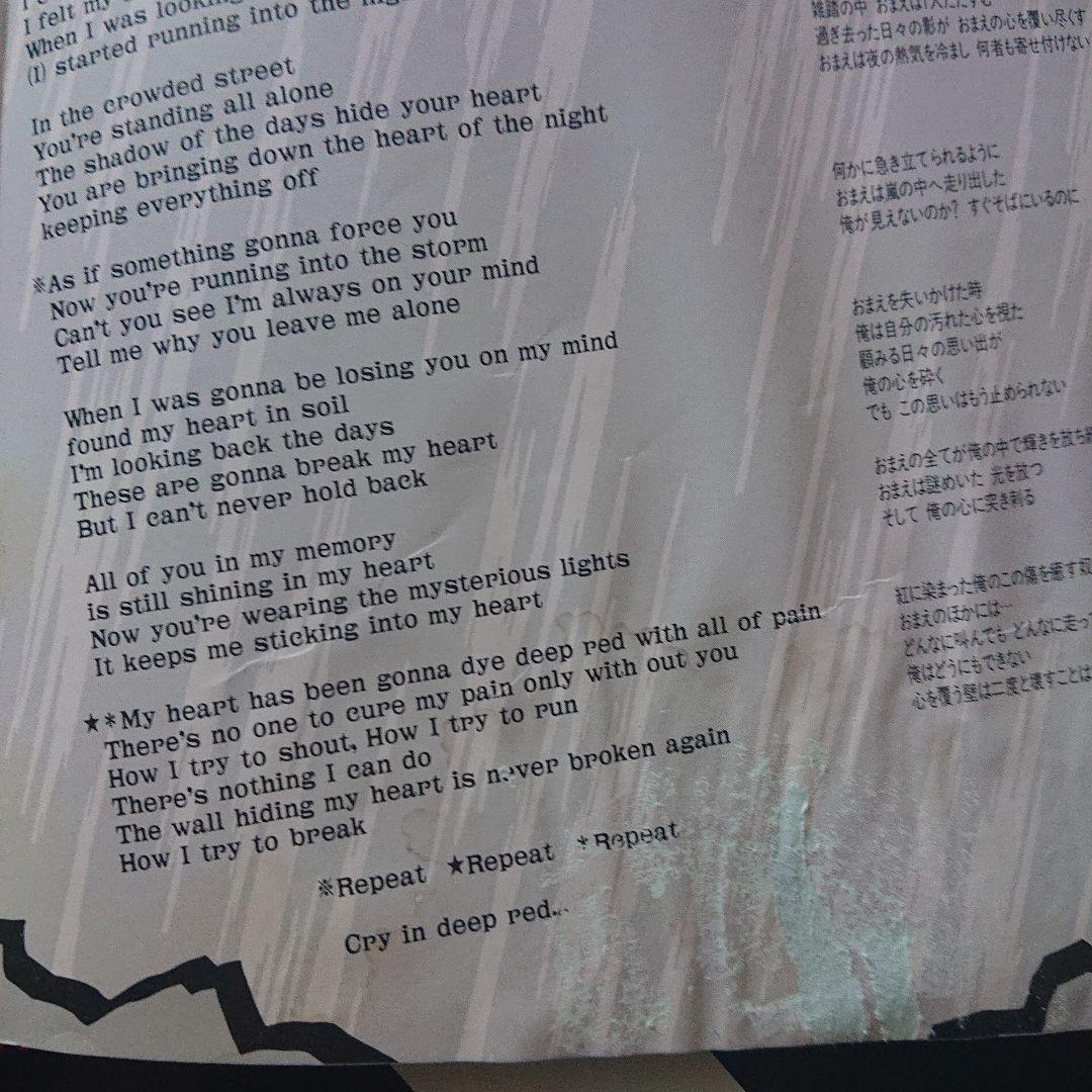 VANISHING VISIONピクチャ盤