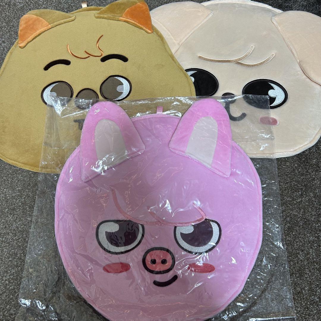 スキズ ストレイキッズ バンチャン うちわ うちわケース うちわ