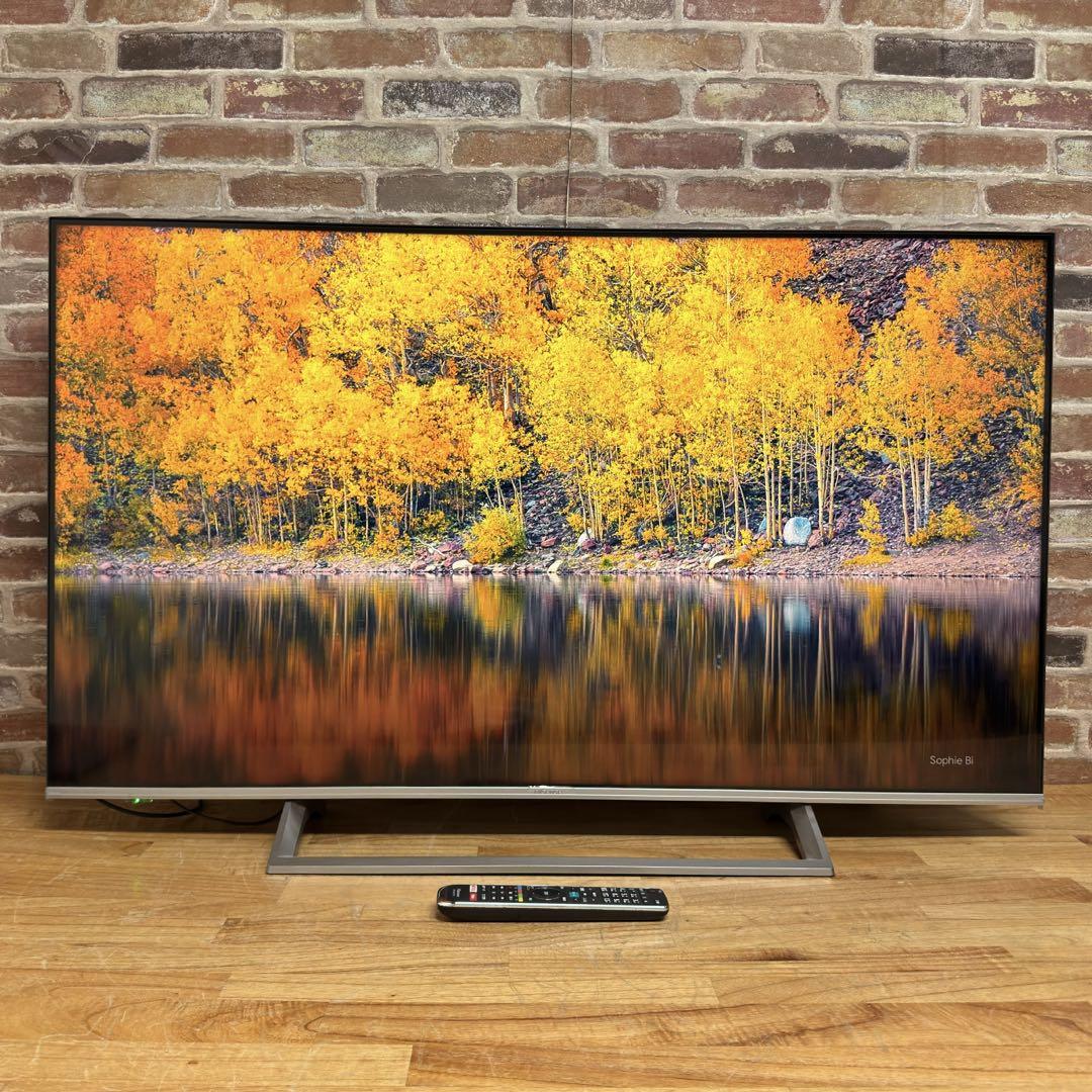ハイセンス 50V型 4Kチューナー内蔵 液晶テレビ 50E6500 ネット動画