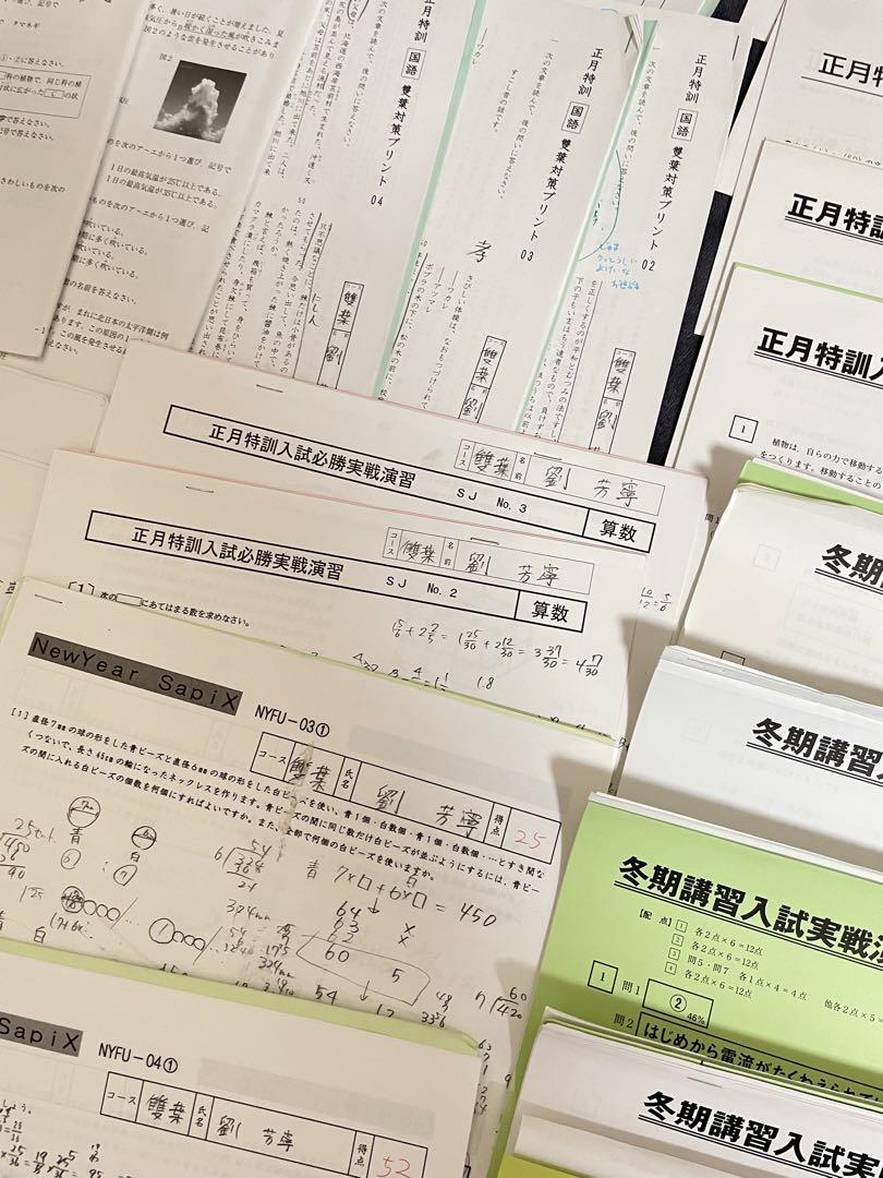 ⑲ SAPIX サピックス　双葉中学校　対策　プリント