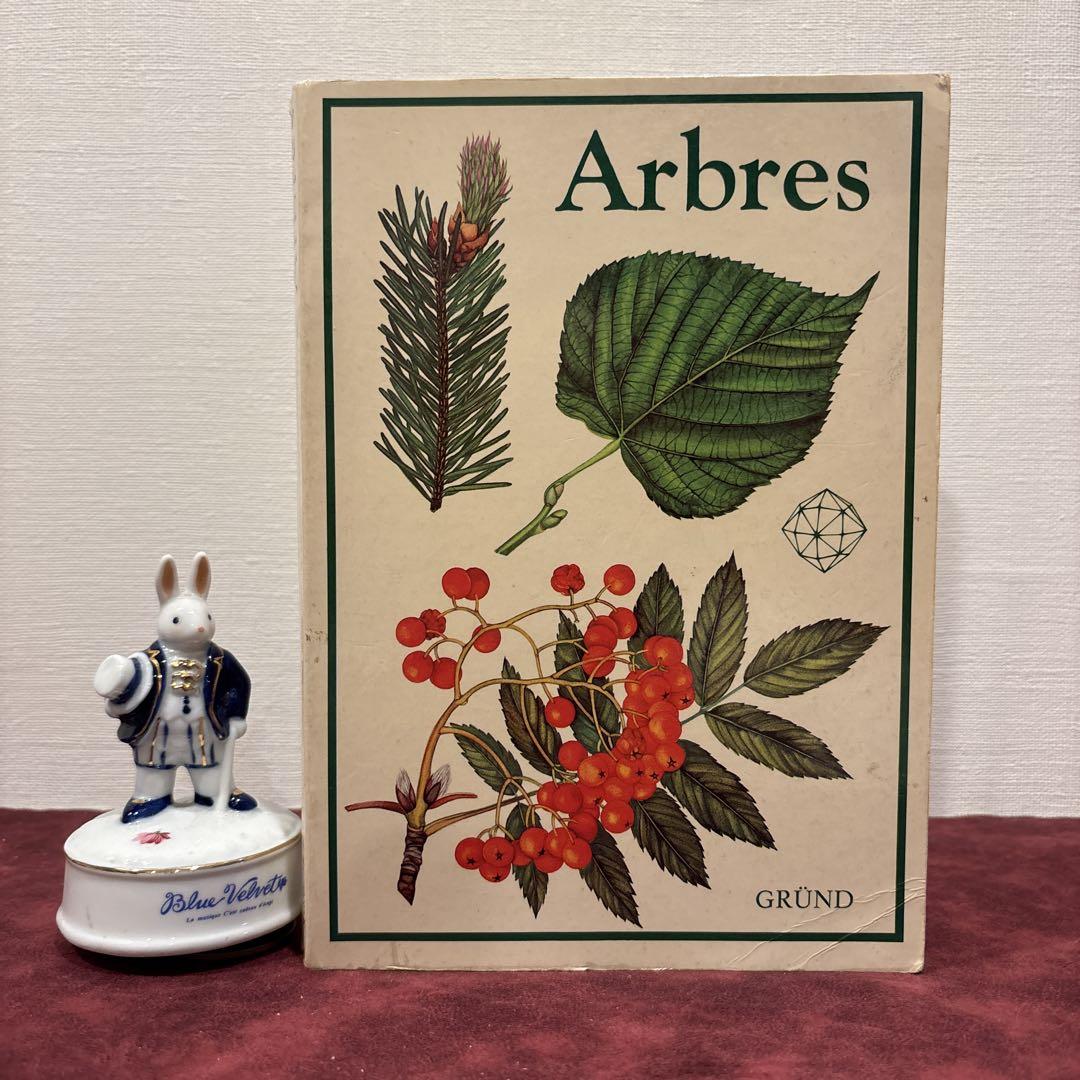 ️てん様専用 フランスの植物図鑑 花図鑑 洋書 古書 ボタニカル