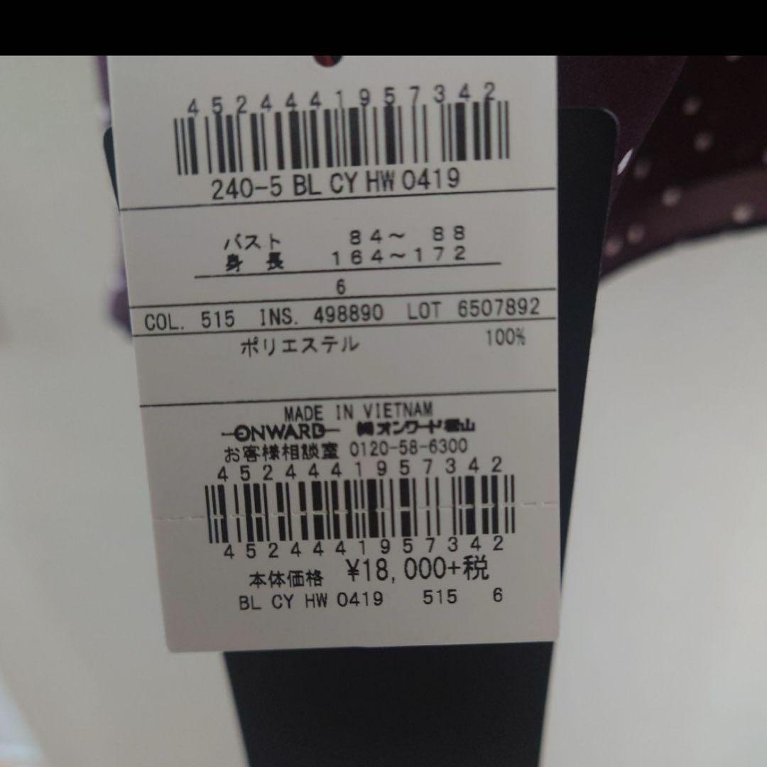 新品同様★icb ドットブラウス