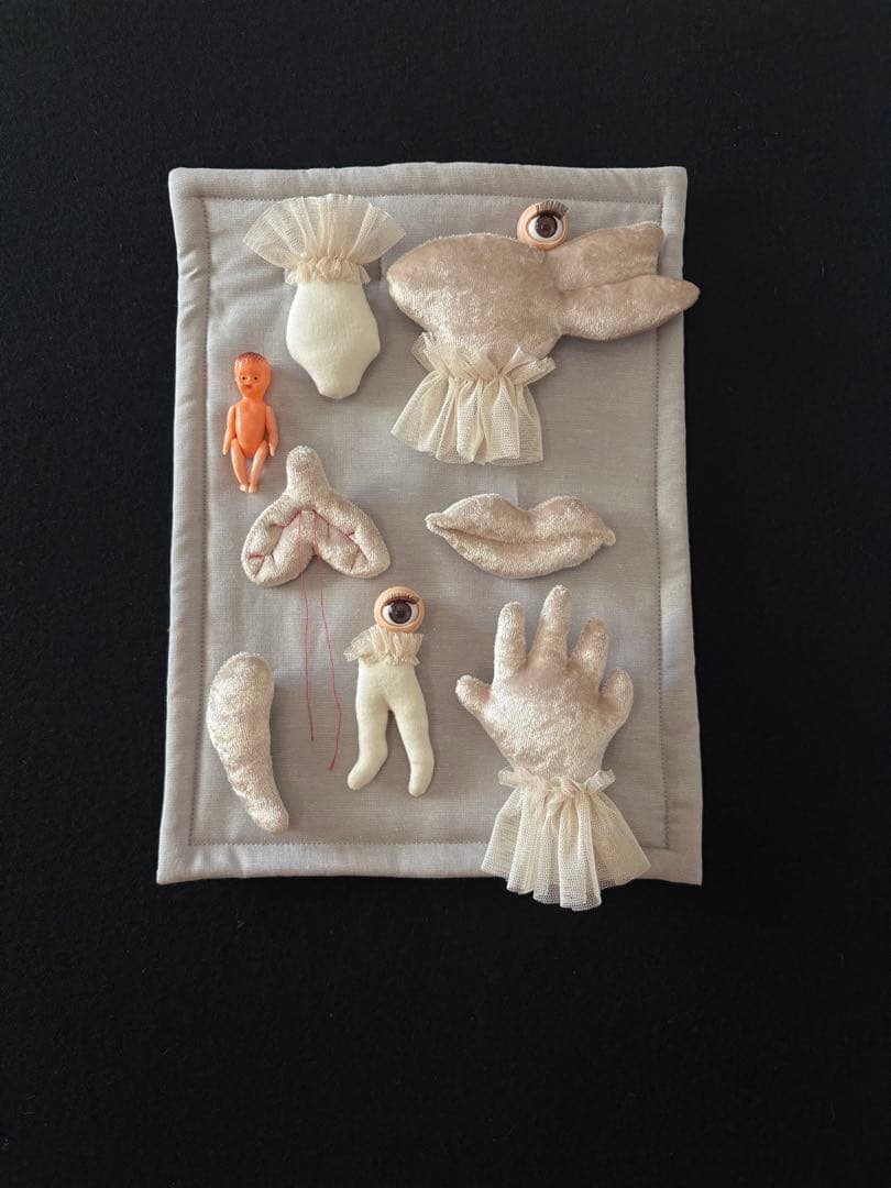 ファブリックアート アッシュペーフランス あちゃちゅむ 個性派 お好きな方に