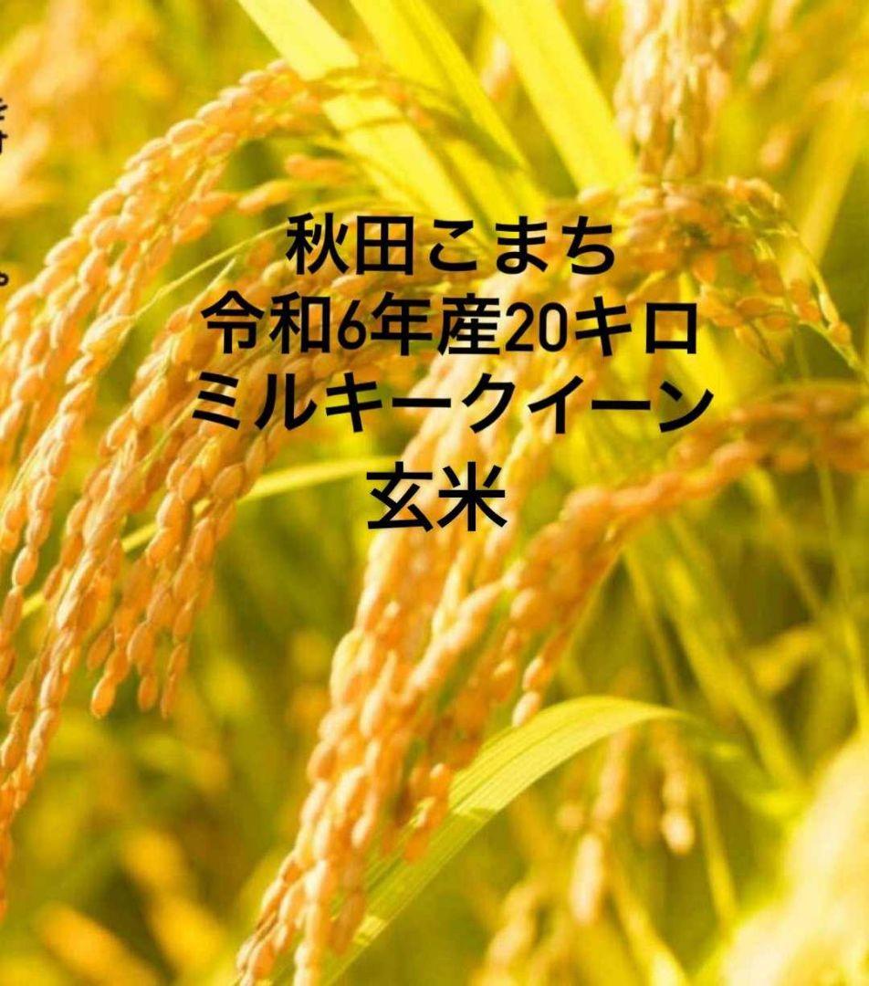 秋田こまち 令和6年産 玄米 20キロミルキークイーン