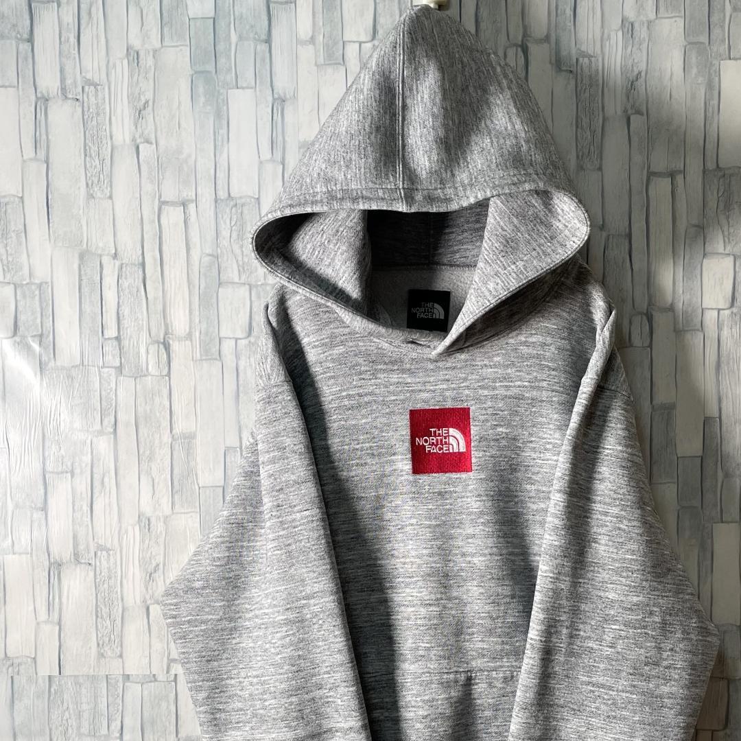 THE NORTH FACE 定番霜降り パーカー 刺繍ロゴ×2 メンズLサイズ