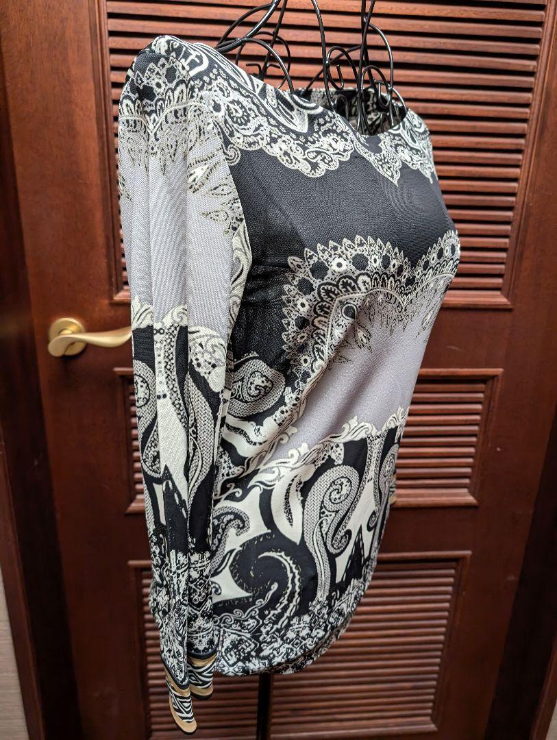 美品 ETRO エトロ レーヨンカットソー