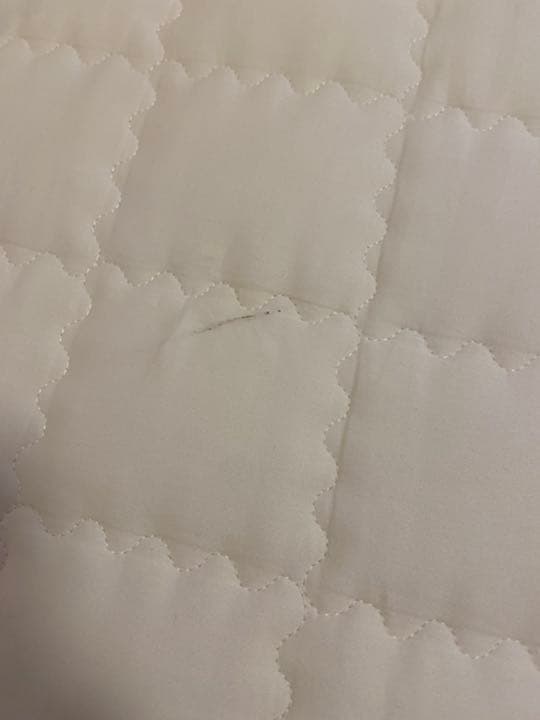 ちゃんさん専用 | faculdadeuninorte.com.br