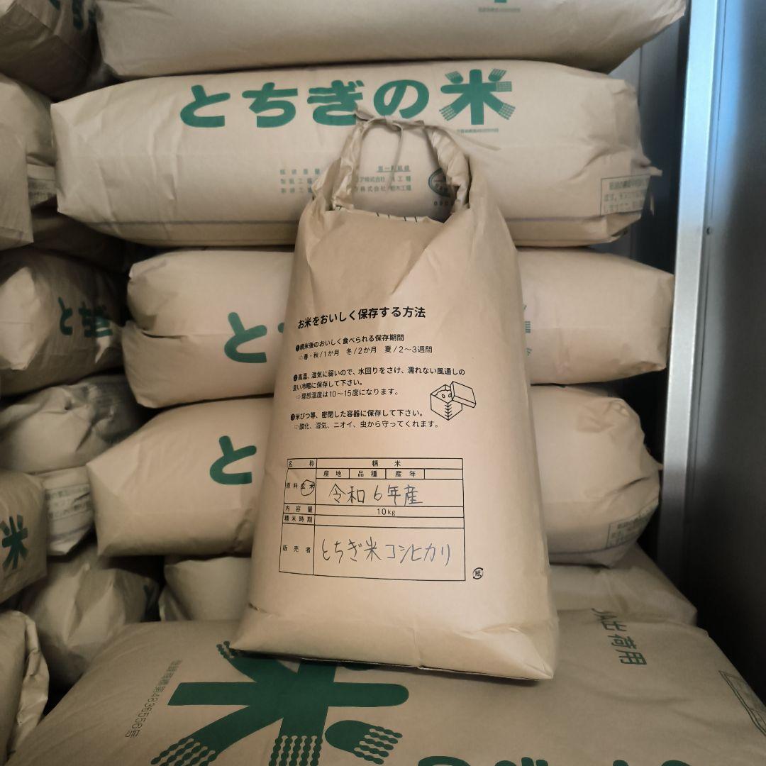 コシヒカリ玄米10キロ6年産