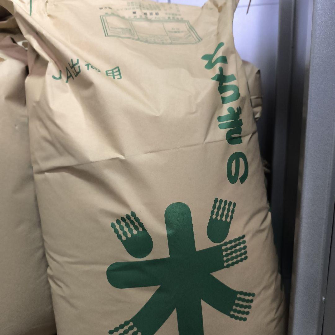 コシヒカリ玄米10キロ6年産