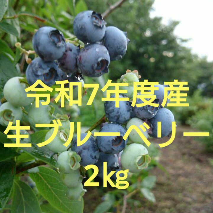 令和7年度産生ブルーベリー★2㎏(送料込み)