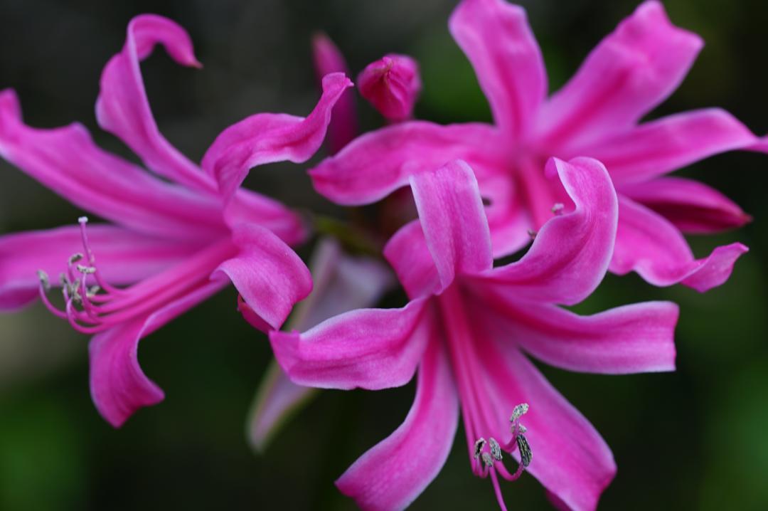 F2.8