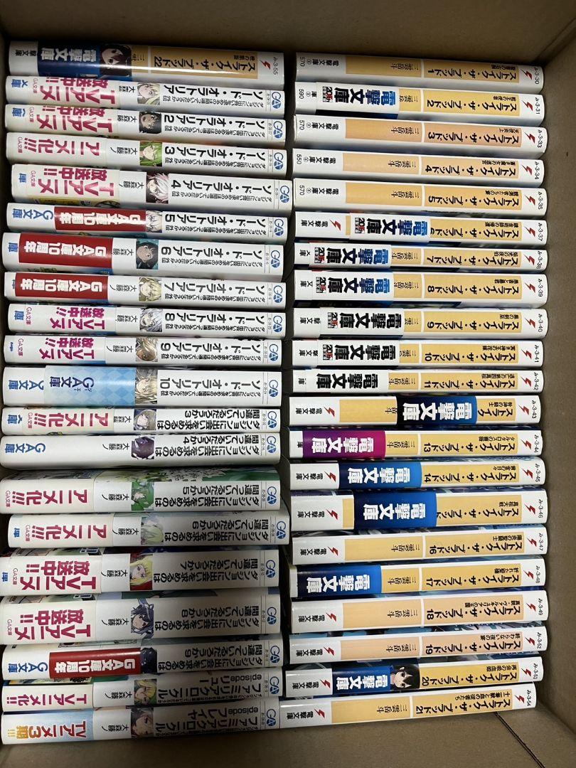 【美品】ストライク・ザ・ブラッド1～22巻　何度か使用