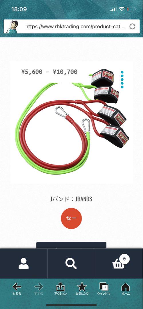 レジースミス　ギア