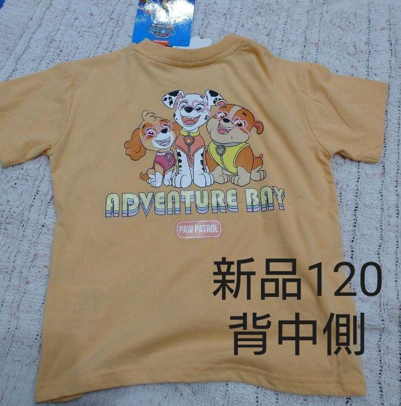 パウパトロール Tシャツ オレンジ 犬 120