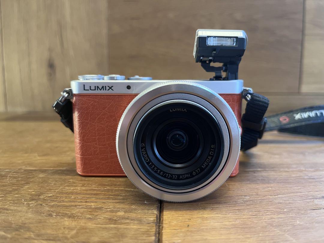 パナソニック LUMIX GM1 DMC-GM1 ミラーレス一眼レフカメラ
