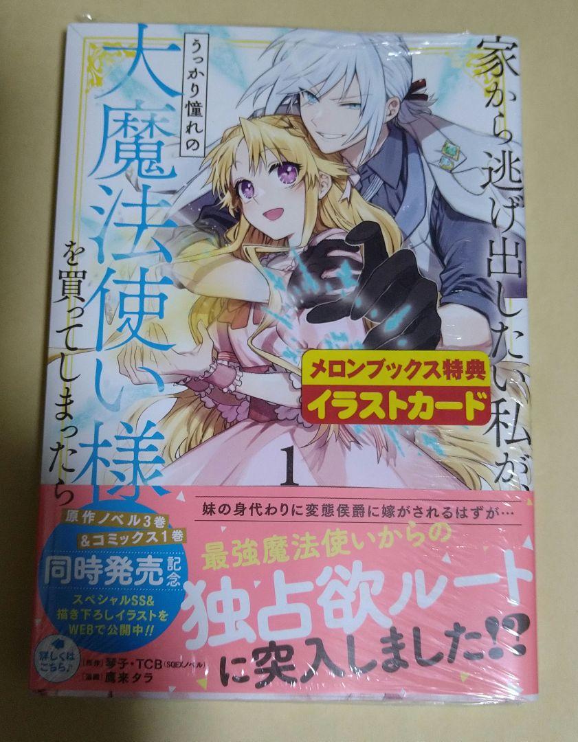 家から逃げ出したい私が、うっかり憧れの大魔法使い様を買ってしまったら