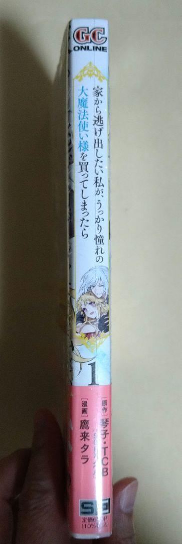 家から逃げ出したい私が、うっかり憧れの大魔法使い様を買ってしまったら