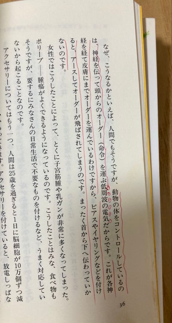 「元祖」野菜スープ強健法 : ガン細胞も3日で消えた!?